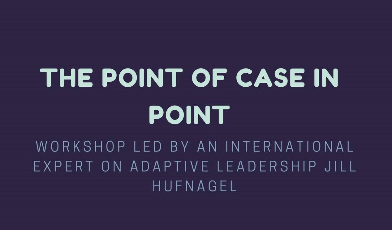 Workshop „The Point of Case-in-Point“