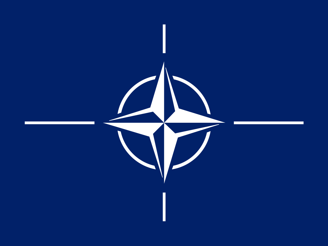 Linas Kojala. NATO: namai – pragarai, be namų negerai