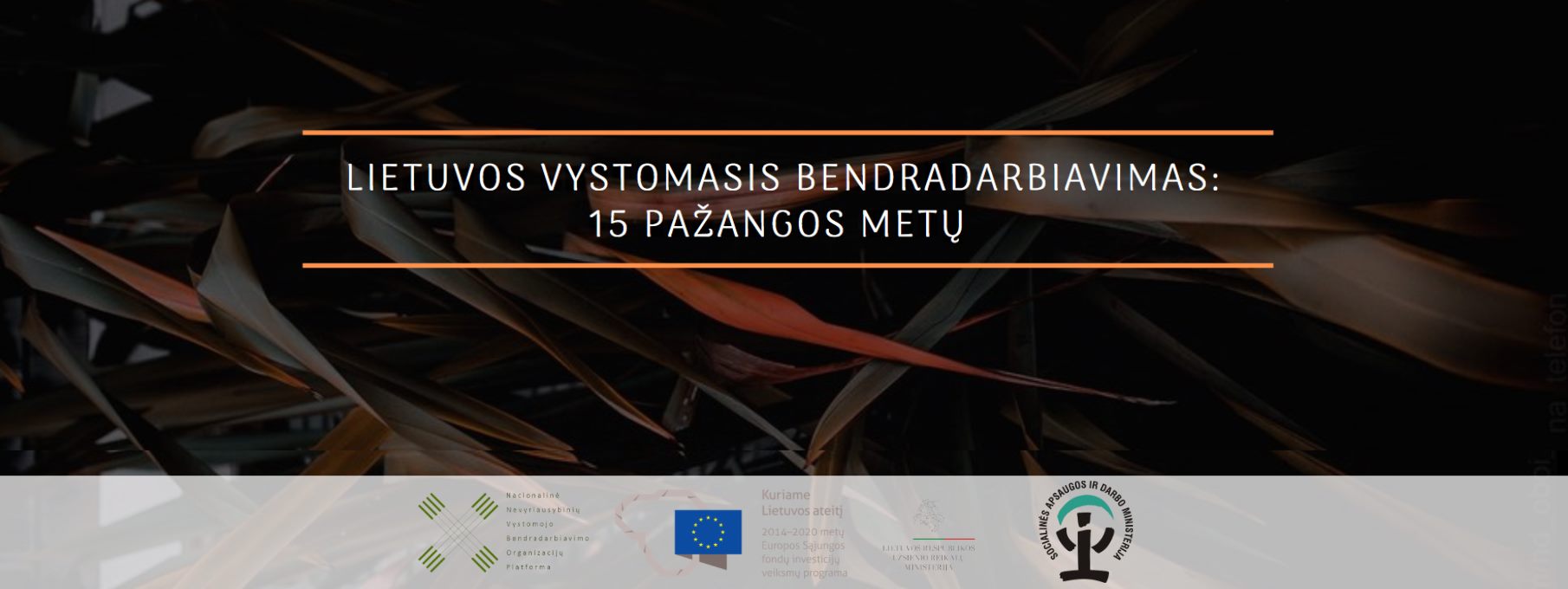 Lietuvos vystomasis bendradarbiavimas: 15 pažangos metų